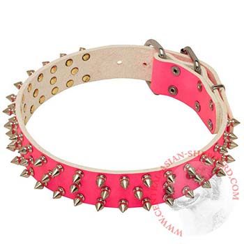 Pink Leather Collar for Central Asian Shepherd She-Dogs