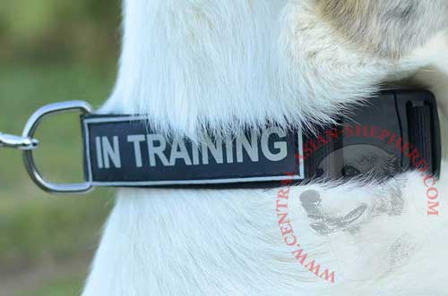 Solid Nickel D-ring for Fast Leash Attachment 