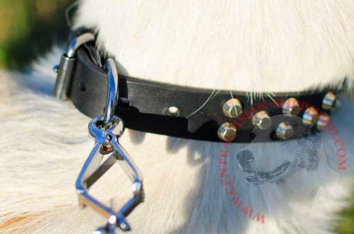 Steel Nickel Plated D-ring for Fast Leash Attachment