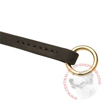  Leather Choke Collar for Central Asian Shepherd Training