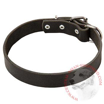 Leather Dog Collar Simple  Design for Central Asian Shepherd