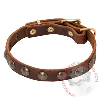 custom leather dog collars