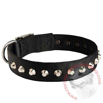 Walking Nylon Central Asian Shepherd Collar Nickel Studded Waterproof