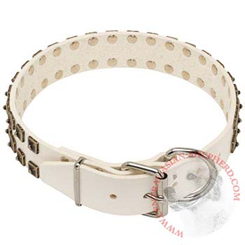 Studded White Leather Dog Collar for Central Asian Shepherd