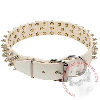 Spiked Leather Central Asian Shepherd Collar