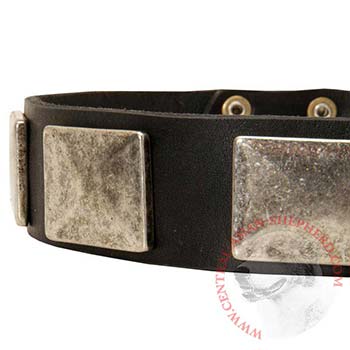 Wide Leather Central Asian Shepherd Collar for Walking