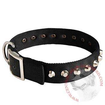 Nylon Buckle Dog Collar Wide with Studs for Central Asian Shepherd