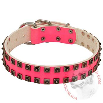 Studded Pink Leather Collar for Central Asian Shepherd She-Dogs