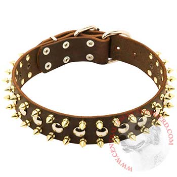 Leather Collar for Central Asian Shepherd with Solid Fittings