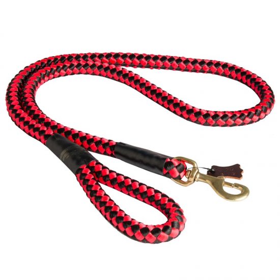 Central Asian Shepherd Nylon Cord Leash Multipurpose