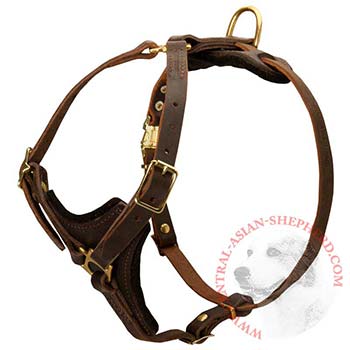 Central Asian Shepherd Harness Y-Shaped Brown Leather Easy Adjustable for Best Fit
