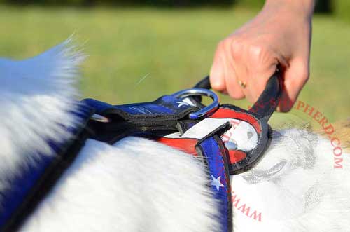 Back Plate with Durable Handle for Dog Control