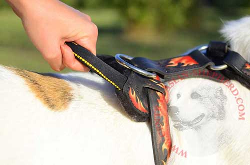 Back Plate with Stitched Handle