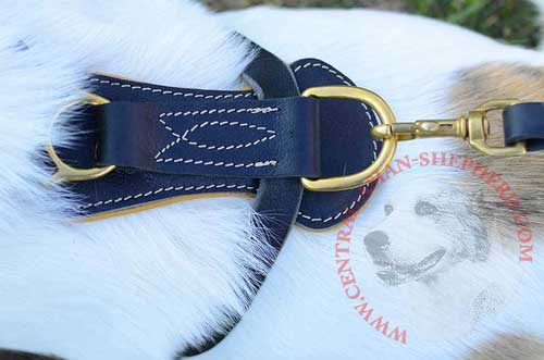 Brass D-ring Serves for Quick Snap Hook Attachment