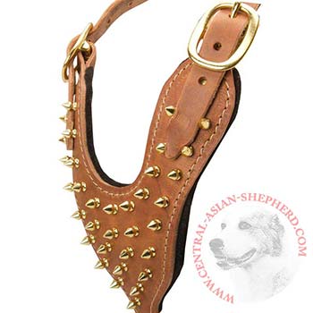 Brass Spiked Leather Central Asian Shepherd Harness