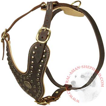 Walking Dog Gear for Central Asian Shepherd