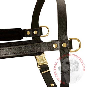 Training Pulling Central Asian Shepherd Harness with Sewn-In Side D-Rings