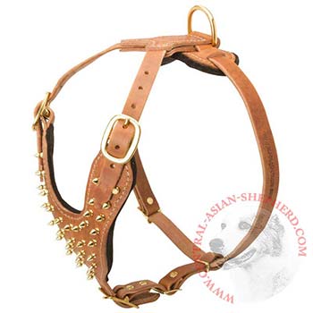 Walking Leather Harness for Central Asian Shepherd