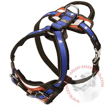 Leather SCentral Asian Shepherd Harness with Handle Stitched to Back Plate