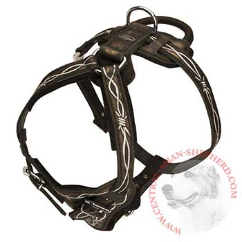 Agitation Training Leather Central Asian Shepherd Harness
