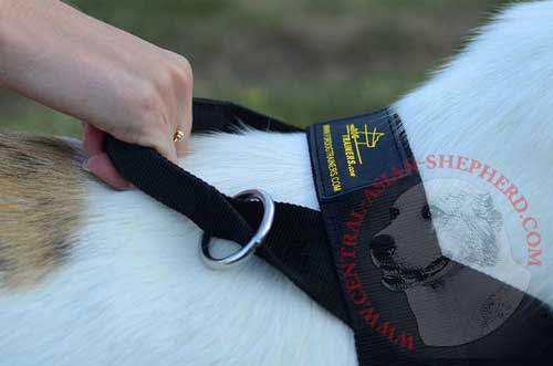 Durable Handle with O-ring for Fast Leash Attachment