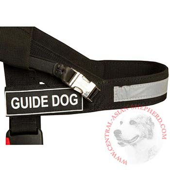 Central Asian Shepherd Nylon Assistance Harness with Patches