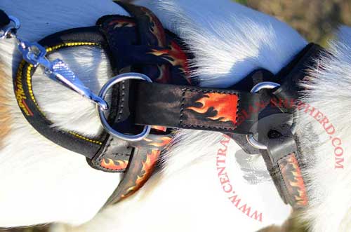 Nickel D-ring for Leash Attachment Resistant to Rust and Corrosion