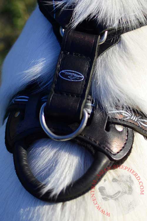 Nickel D-ring for Snap Hook Attachment Rust-proof