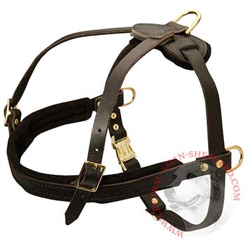 Leather Central Asian Shepherd Harness for Dog Off Leash Training