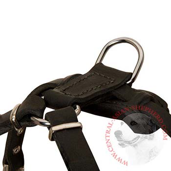 Padded Back Plate for Puppy Comfy Walking