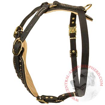 Custom Made Dog Harness for Central Asian Shepherd