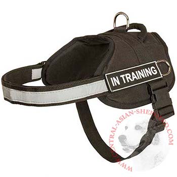 Nylon Central Asian Shepherd Harness Multifunctional All-Weather Practical