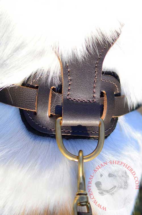 Solid Brass D-ring of Central Asian Shepherd Harness Resistant to Rust and Corrosion