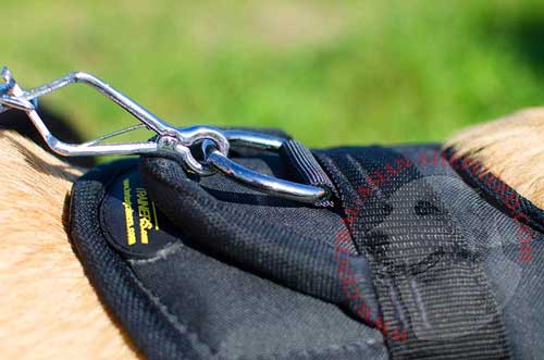 Nickel-Plated Sturdy D-ring Designed for Leash Connection