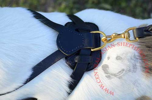 Brass Rustproof D-ring Fastened to Snap Hook of Dog Lead