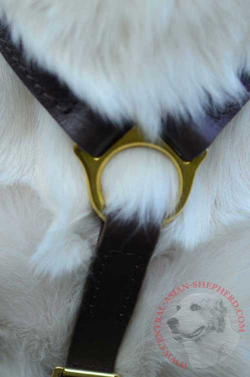 Dog Leather Harness Extra Strong for Tracking Central Asian Shepherd