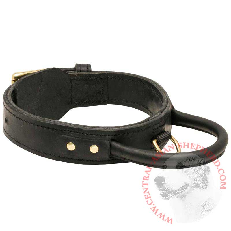 Extra Durable Leather Central Asian Shepherd Collar with Handle for