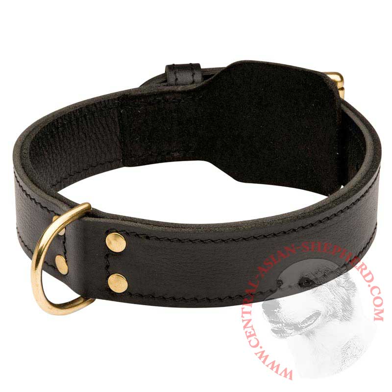 Training 2 Ply Leather Central Asian Shepherd Collar