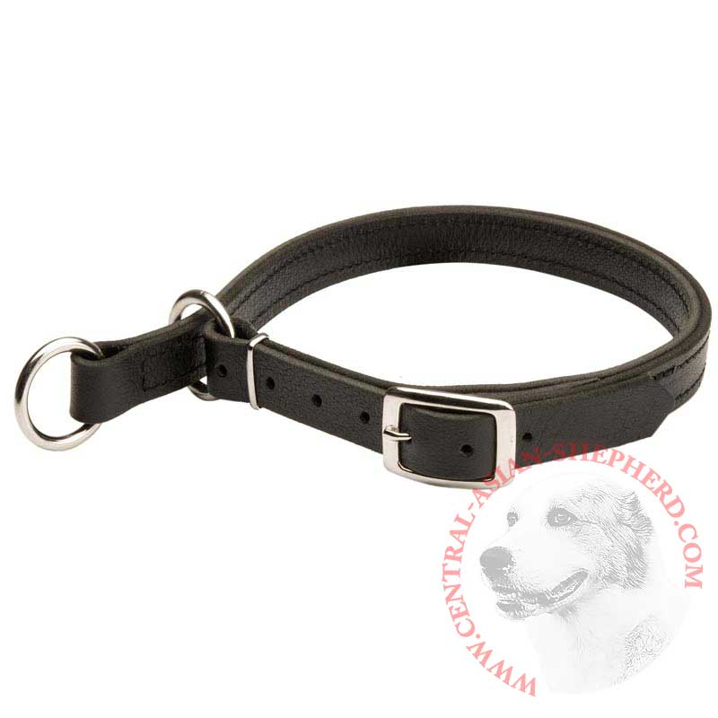 Central Asian Shepherd Leather Choke Collar