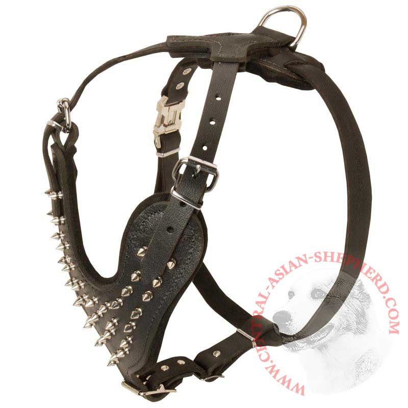 Spiked Leather Central Asian Shepherd Harness for Fashionable Walking