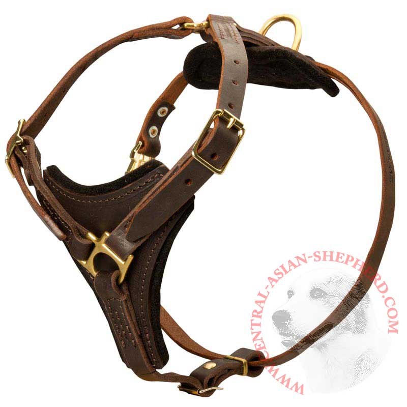 Tracking Leather Central Asian Shepherd Harness With Y-Chest Plate
