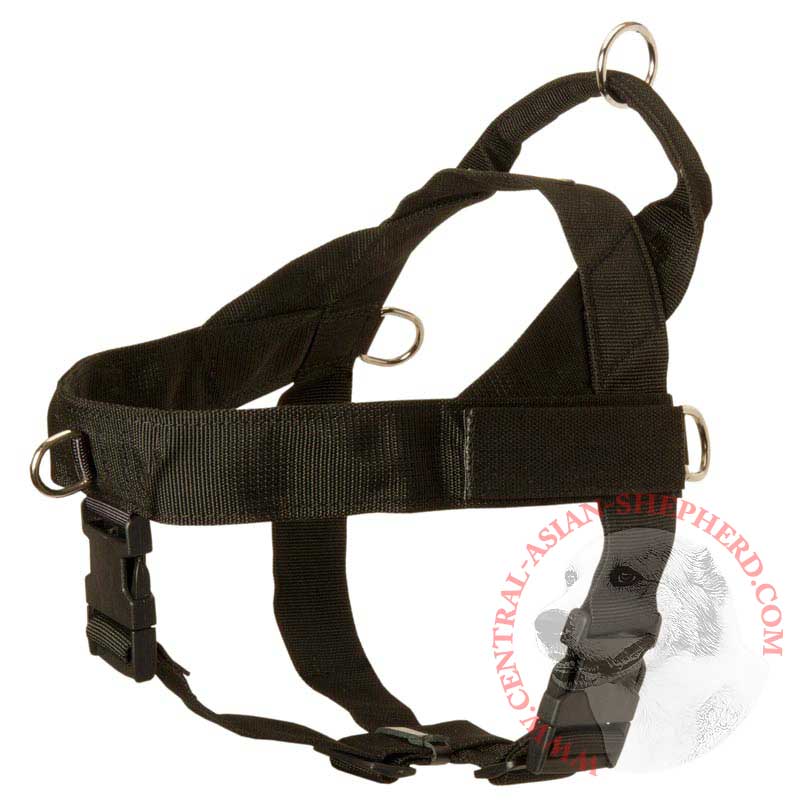 Central Asian Shepherd Harness Nylon with Patches