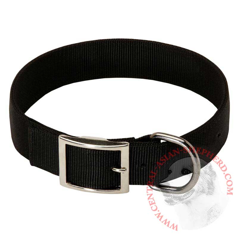 2 Ply Nylon Central Asian Shepherd Collar