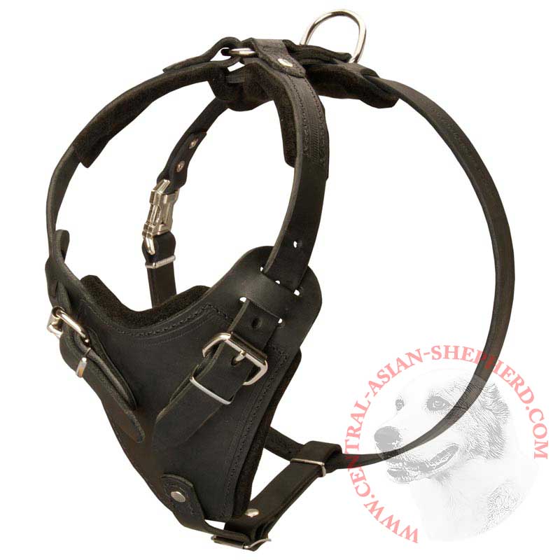 Protection Leather Central Asian Shepherd Harness for Attack / Agitation Dog Training