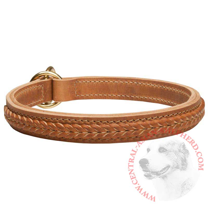 Gorgeous 2 Ply Leather Choke Central Asian Shepherd Dog Breed Collar