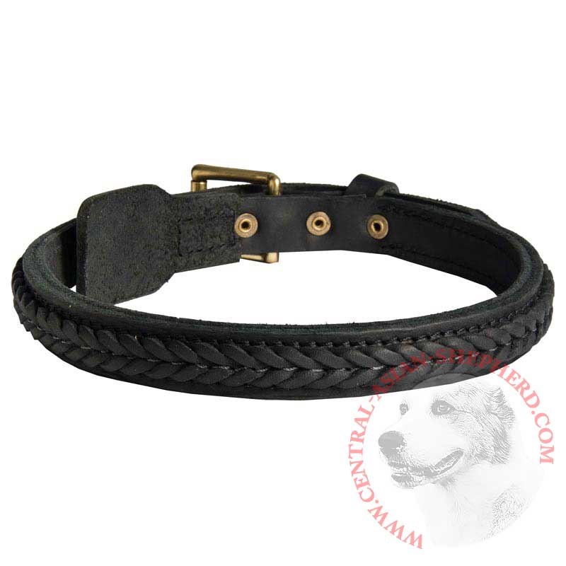 Central Asian Shepherd Braided Leather Collar 1 Inch