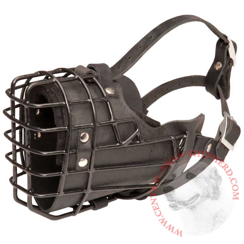 Unique Design Wire Central Asian Shepherd Muzzle for Winter Activities