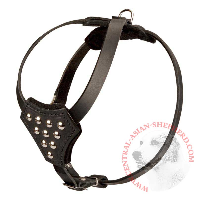 Designer Leather Central Asian Shepherd Harness with Adjustable Straps for Puppy Walking and Training