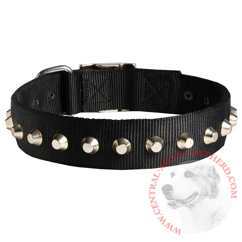 Exclusive Nylon Central Asian Shepherd Collar with Awesome Nickel Cones
