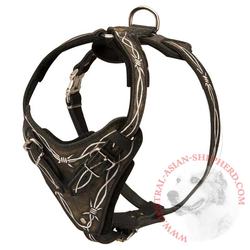 Painted Leather Central Asian Shepherd Harness for Walking and Training